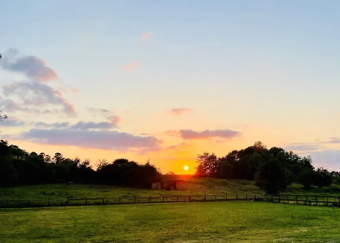 Ruime Hébergement de vacances